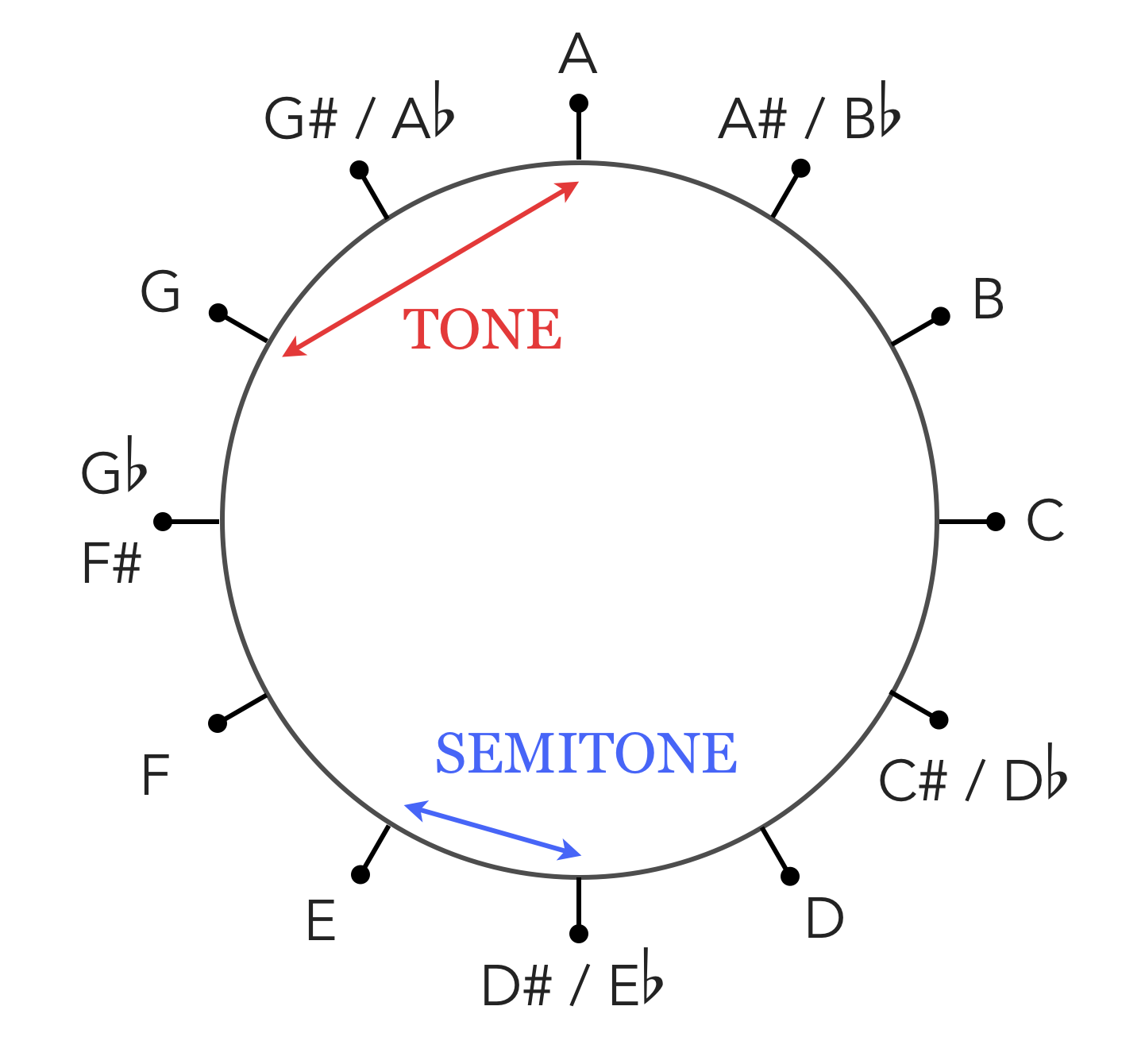 Tone circle new arrivals