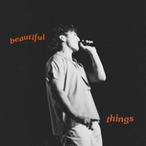 Beautiful Things by undefined